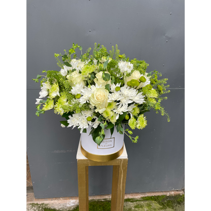 Box Floral Cilindro Paz