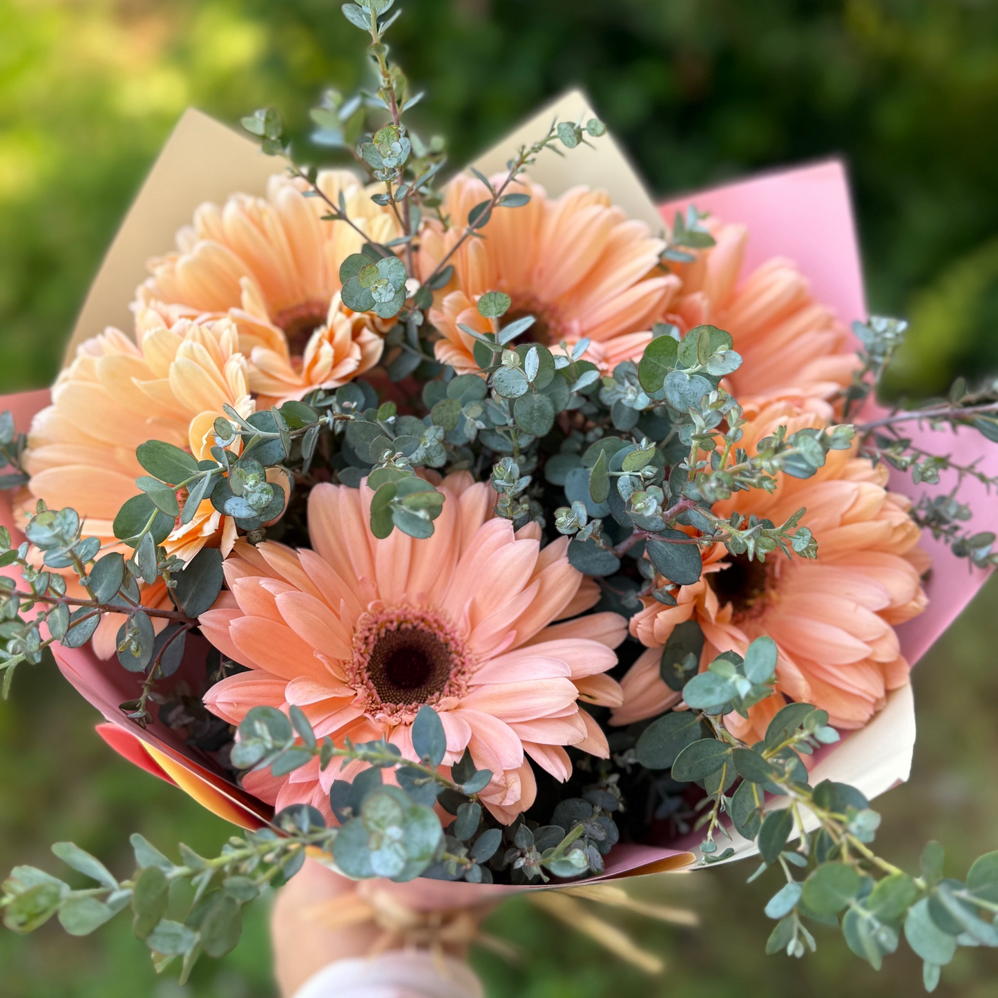 Ramo 6 Gerberas