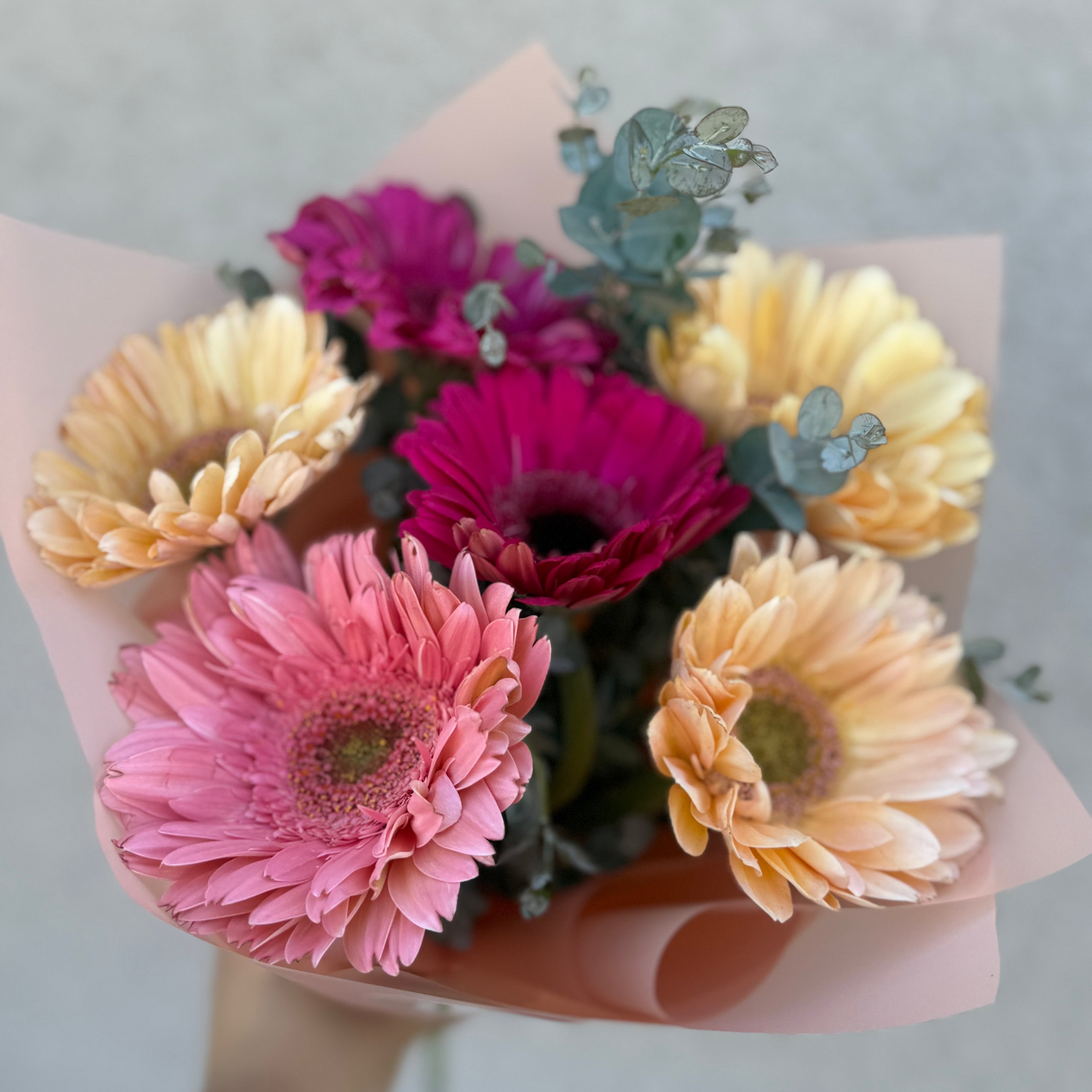 Ramo 6 Gerberas