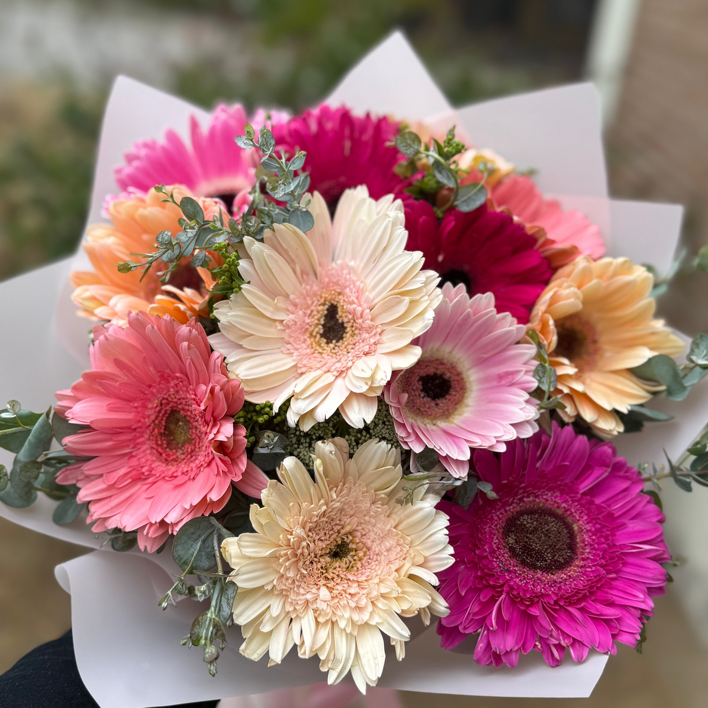 Ramo 12 Gerberas