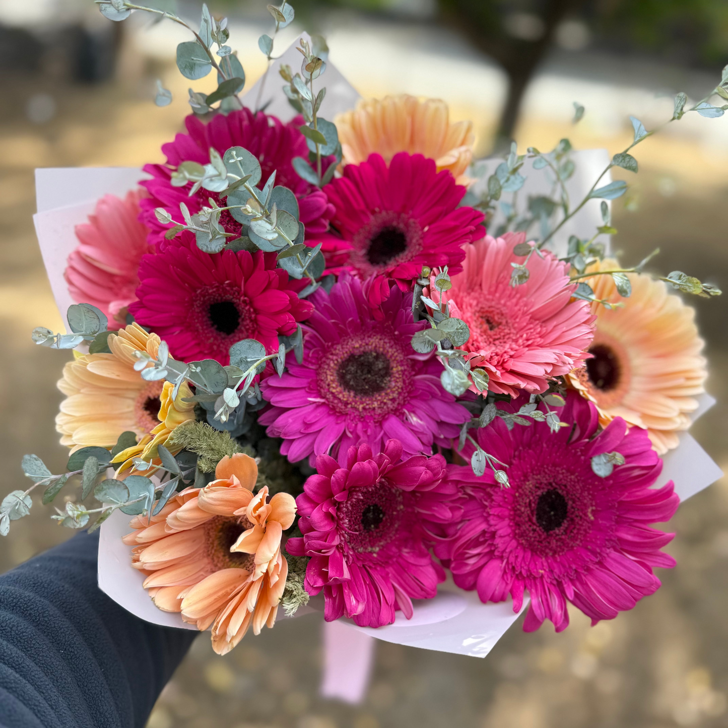 Ramo 12 Gerberas