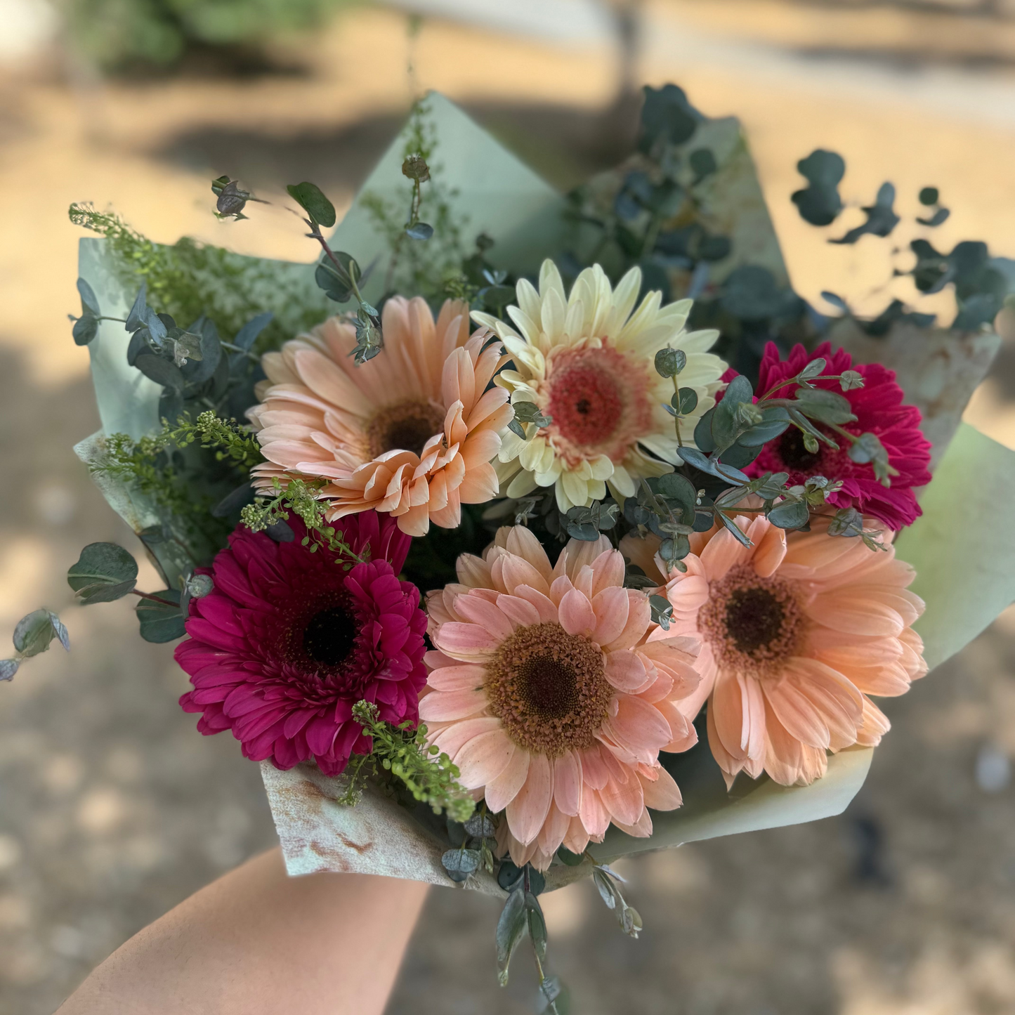 Ramo 6 Gerberas
